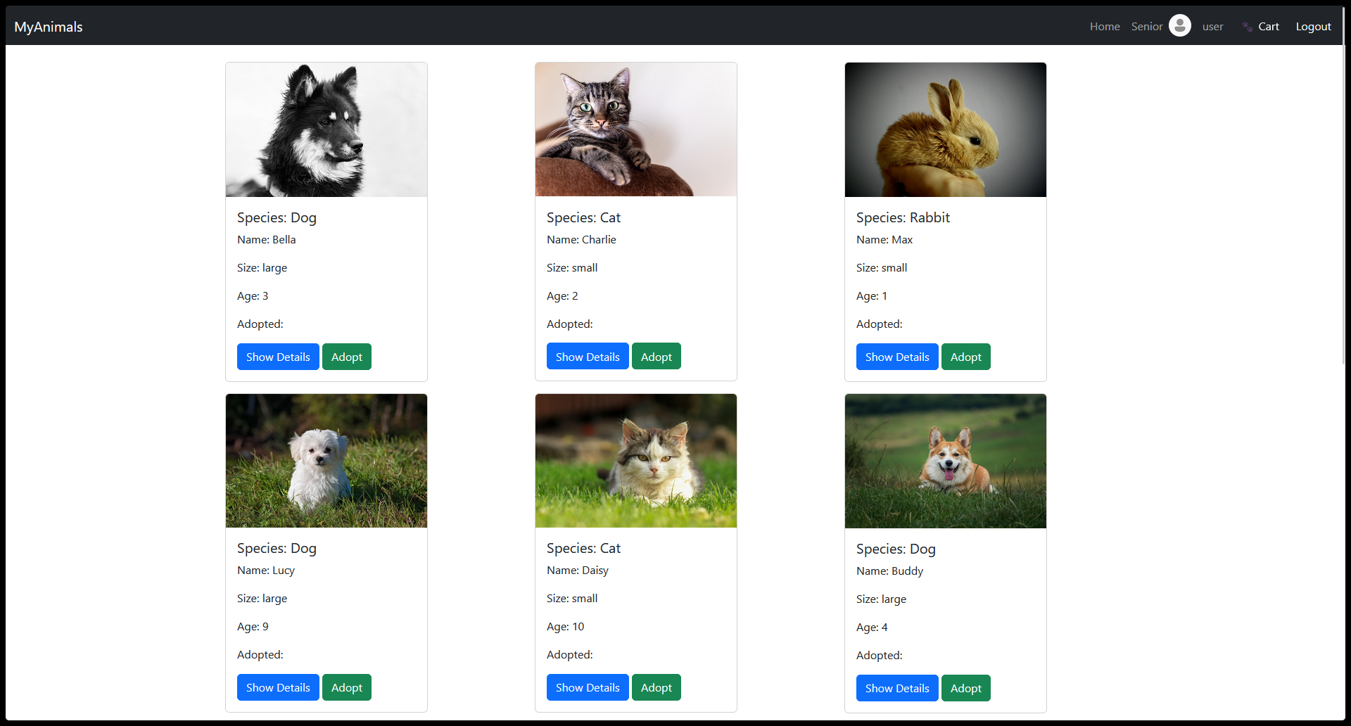 Pet Adoption Website